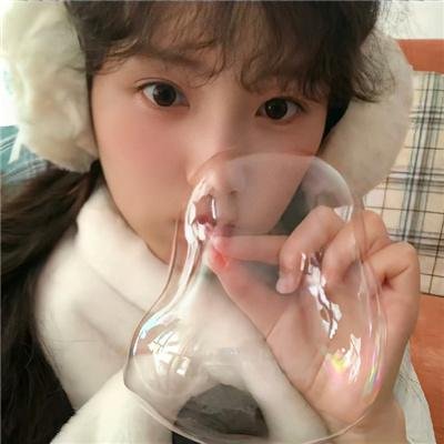 哈啰!毛小孩